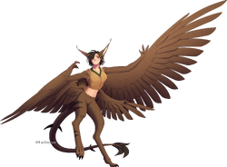 Frie with one foot on the ground, showing off all four of her wing arms.