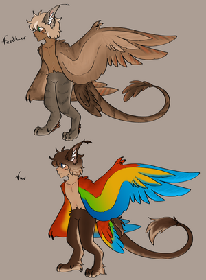 Young mink-mink harpy examples (Male).png