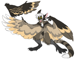 Duster displaying his wings.