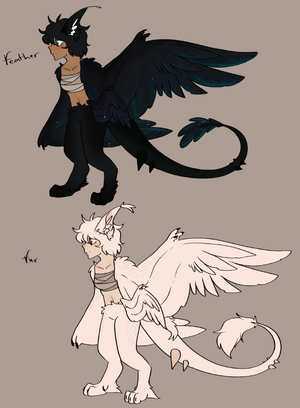 Young mink-mink harpy examples (Female).png