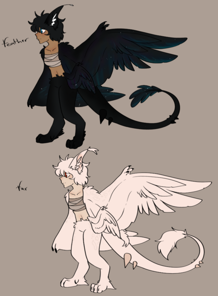 File:Young mink-mink harpy examples (Female).png